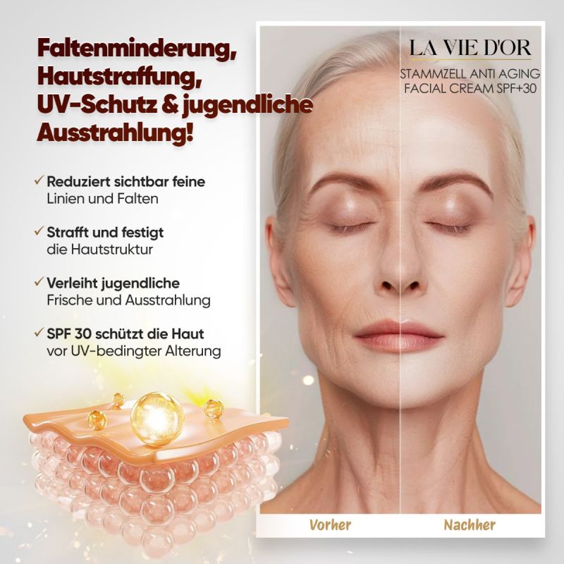 LaVieDor Anti-Aging Set – Serum & Tagescreme mit Stammzellen und LSF 30