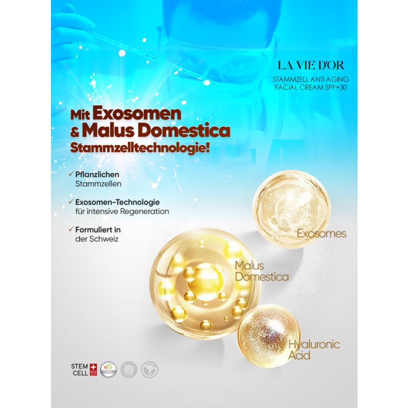 LaVieDor Anti-Aging Tagescreme mit LSF 30 – Mit Hyaluronsäure & Vitamin-Komplex